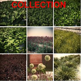 HQ Vegetation Pack (9 Models)